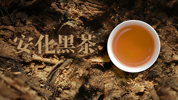 安化黑茶·3月17日播出