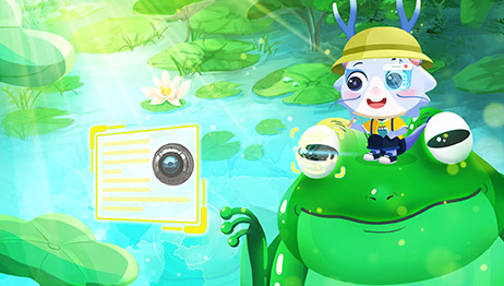 动物里的天才科学家