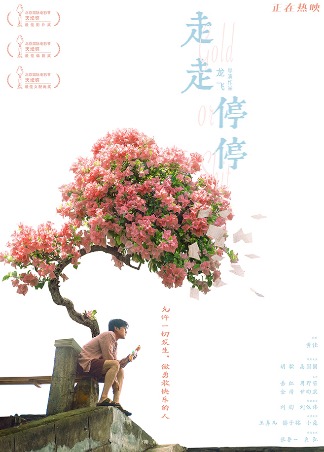走走停停