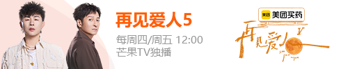 再见爱人5