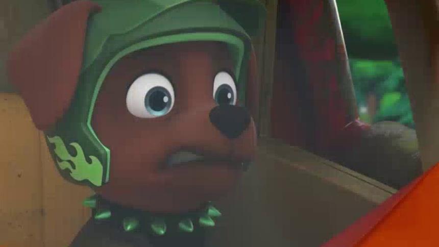 灰灰解除宠物美容院危机