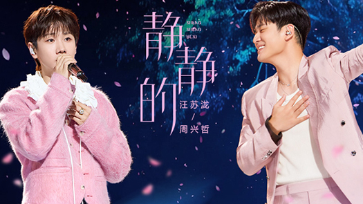 声生不息·华流季