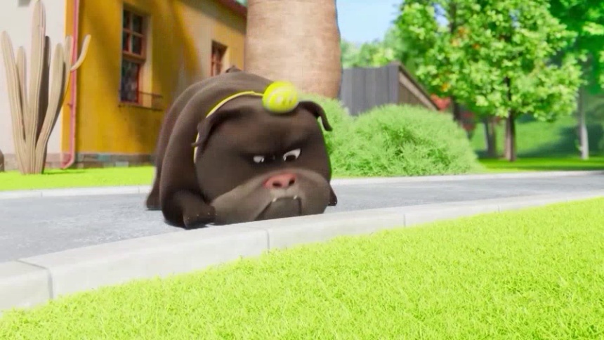 斗智斗勇！满屋子奔跑的一天