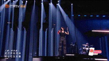 乘风2026·二公下半场