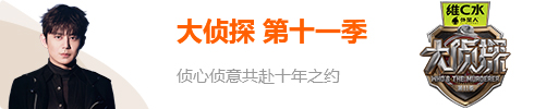 大侦探11